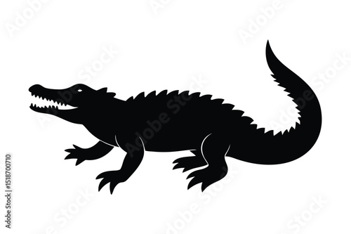 crocodile isolated on white background.