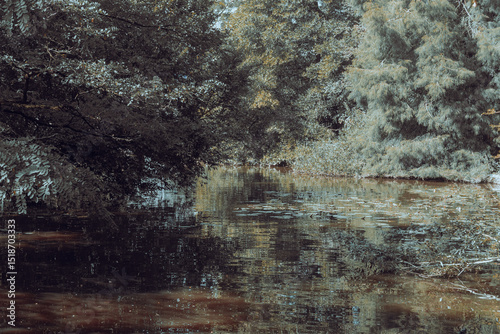 small pond with pastel colors