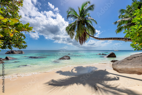Fototapeta Naklejka Na Ścianę i Meble -  Tropical Beach. Sandy beach with palm and turquoise sea. Summer vacation and tropical beach concept.
