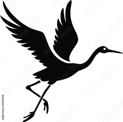 a black and white bird flying in the air  the bird