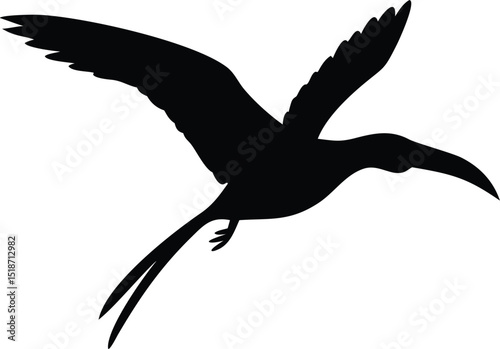 a black bird with a long beak flying in the air