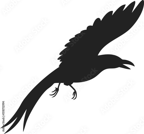 a black bird with a long beak flying in the air
