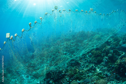 Fototapeta Naklejka Na Ścianę i Meble -  A long fishing net is draped over a coral reef in the Pantar Strait, near the island of Alor, Indonesia. Fishing has reduced the fish populations in many areas of the Coral Triangle.