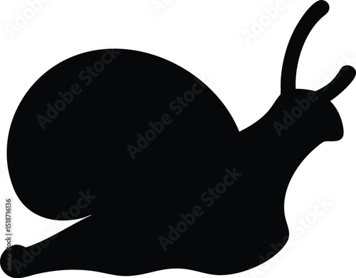 snail silhouette