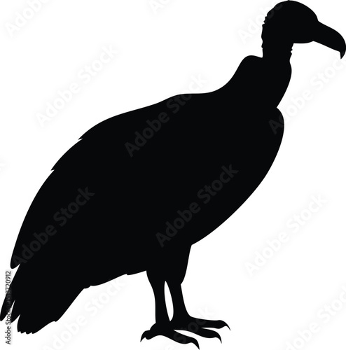 american black vulture silhouette