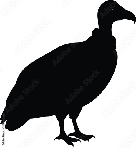 american black vulture silhouette