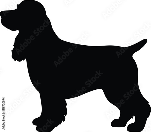 american cocker spaniel dog silhouette 