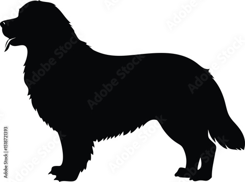 bernese mountain dog silhouette