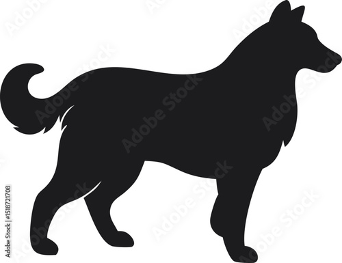 collie herding dog silhouette