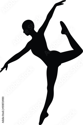 silhouette of a ballet dancer posing 