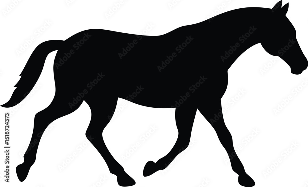 Obraz premium silhouette of a horse walking