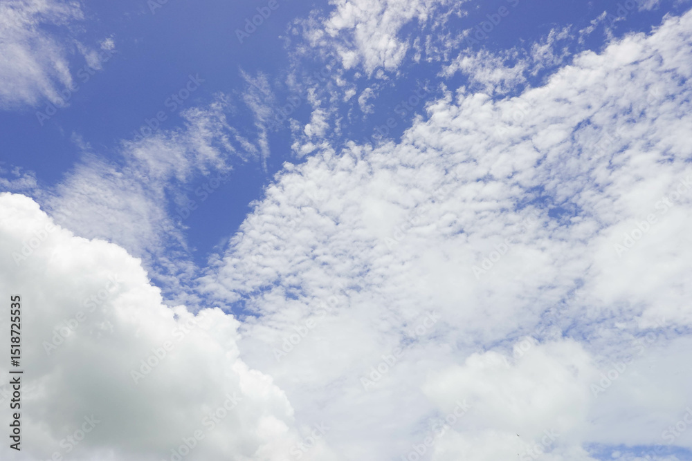 Fototapeta premium Airy atmosphere by the beach in Summer