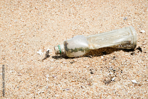 Sense of Pollution and Human Waste on the sandy Beach