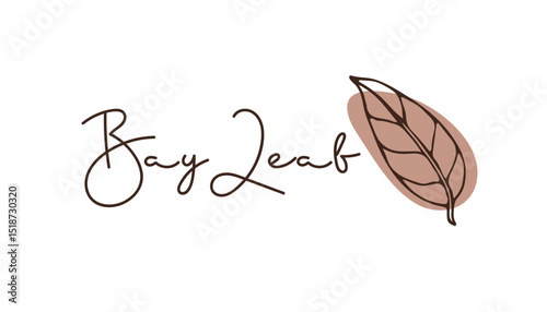 Bay leaf, Spice. Doodle line vector illustration with inscription on white background. Seasoning for food and drinks. Organic product sketch for packaging, sales, shops sign. Flavor cooking ingredient