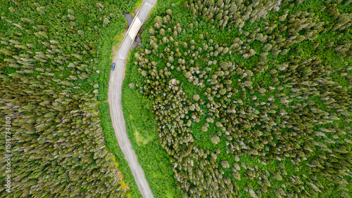 Φωτογραφία Bird's-eye view of a dirt road crossing the boreal forest