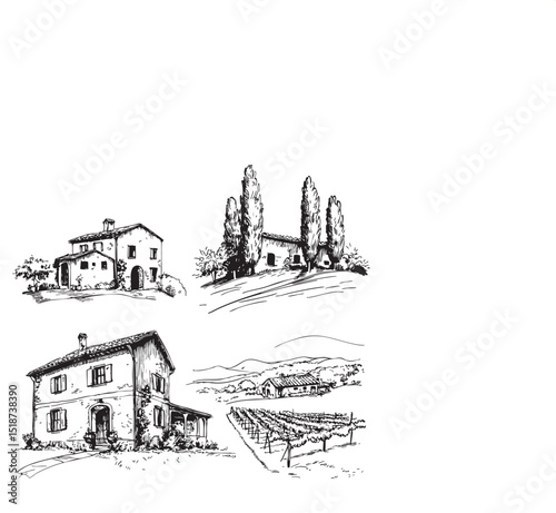 Vineyards landscapes sketched abstract digital illustration