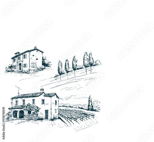 Vineyards landscapes sketched abstract digital illustration