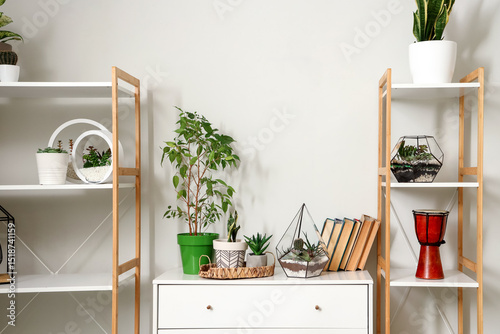 Florariums with books and h...