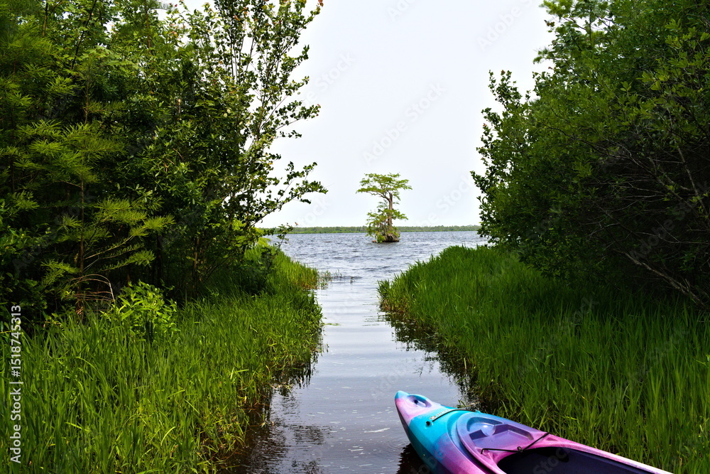 Fototapeta premium A kayak prepares to launch from the shore into a small canal that heads out into a small lake.