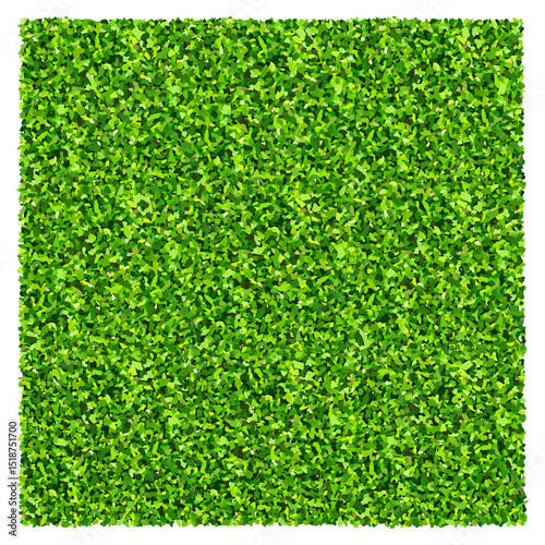Green grass field background. Texture of green lawn grass. Green grass seamless texture.