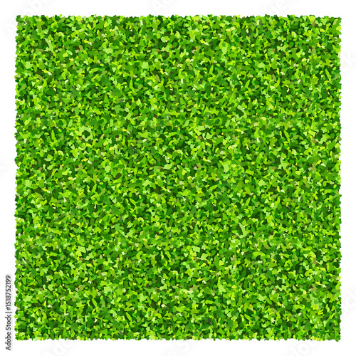 Green grass field background. Texture of green lawn grass. Green grass seamless texture.