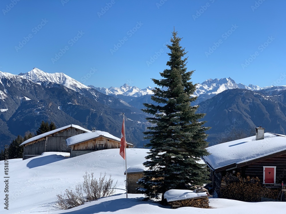 Fototapeta premium Winter Landschaft Heinzenberg, im Domleschg, Graubünden im Schnee, mit Chalet, Ferienhäuser, Holzhütten, Panorama auf die Berge Piz Scalottas, Stätzerhorn, Fullhorn, Lenzerhorn, Guggernellgrat, Tanne