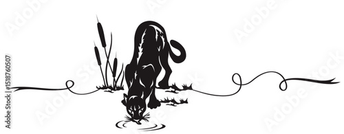 black tiger drinking in the river, vector animal drawing art