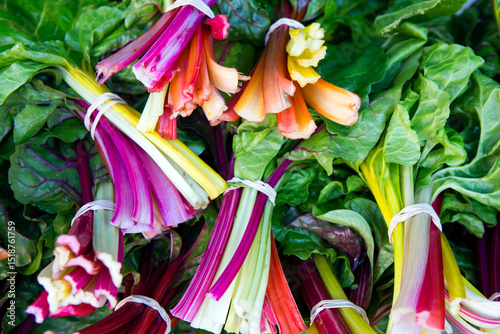 Wallpaper Mural Organic Farmer's Market Fresh Vegetable Bunch Swiss Chard Torontodigital.ca