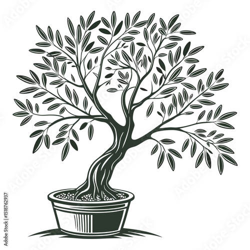 Stylized dark olive tree illustration against white background