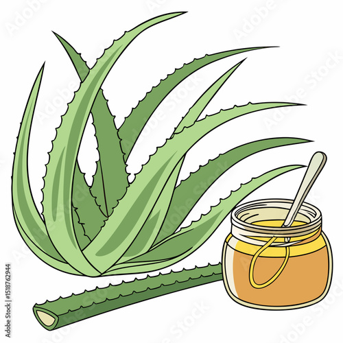 Aloe vera plant with its extracted gel in a jar