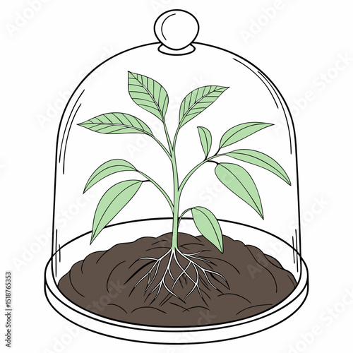 A delicate seedling sprouts under a protective glass dome, symbolizing growth and care