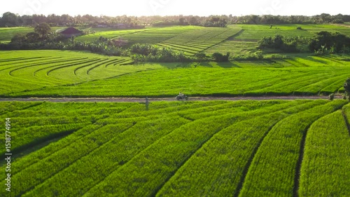 Driving motorcycle along green rice fields in Bali. Epic aerial view of riding bike on sunset in countryside on rural road. Traveling and exploring the world