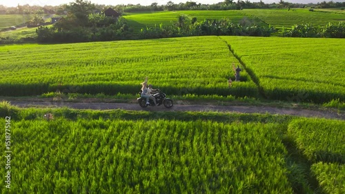 Couple riding motorbike along green rice terraces on the rural road in countryside of Bali. Driving motorcycle through farming fields, exploring the world in moto trip