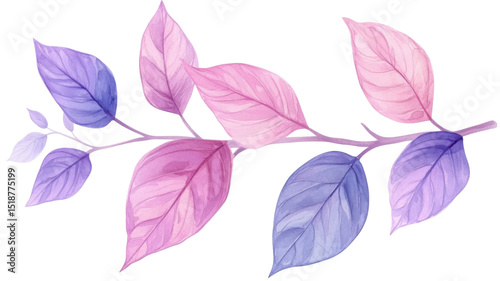 Purple lilac leaves close-up isolated on white background