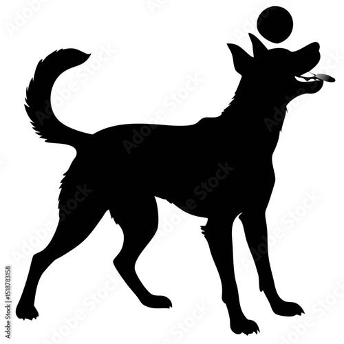 Silhouette of a Playful Dog Holding a Ball in Its Mouth While Standing in an Energetic Pose