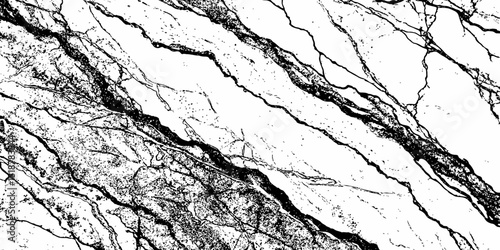 black and white showing a marble surface with dark veins running across  texture is rough and natural, creating a unique abstract pattern