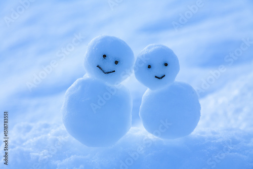 雪原の雪だるま