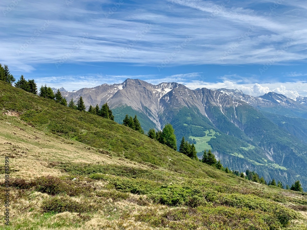 Obraz premium Berglandschaft auf der Riederalp am Wanderweg im Wallis mit Blick und Panorama auf Berge: Furggen, Breithorn, Fülhorn, Bättlihorn , Wald und Wiese