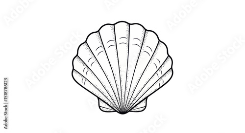 Elegant Shell: A beautifully rendered monochrome illustration showcases a single scallop shell, highlighting its intricate fan-like structure.