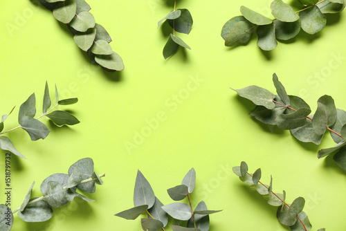 Eucalyptus branches with gr...