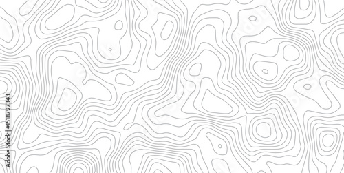 Stylish Topographic Contour Lines Wallpaper – Elevation Map-Inspired Vector Design.Elegant Topography Line Art – Seamless Background with Elevation Contour Map Style.