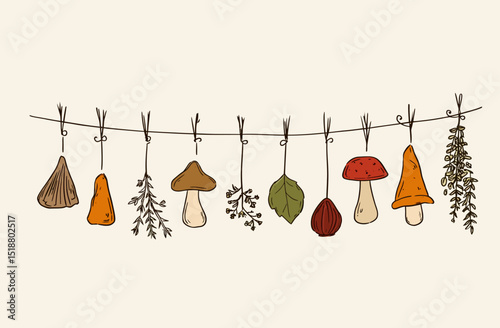 Hand-Drawn Autumn Garland with Mushrooms, Herbs, and Leaves A Charming Fall Illustration