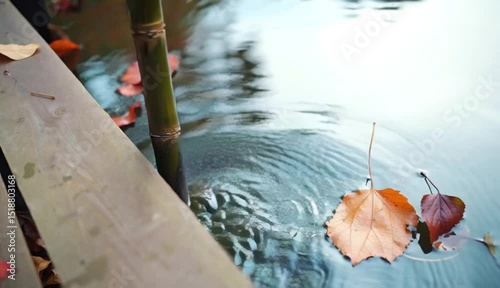 Dry leaves floating on water with bamboo and wooden pier nearby -  