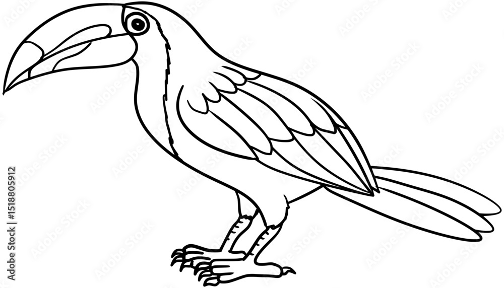Obraz premium Keel-Billed Toucan Vector Outline Line Art Drawing
