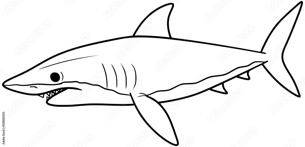 Fototapeta premium Shortfin Mako Shark Vector Outline Line Art Drawing
