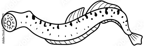 Sea Lamprey Vector Fish Outline Line Art Drawing