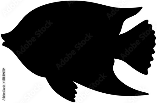 Queen Angelfish Silhouette Vector Fish Shadow Illustration