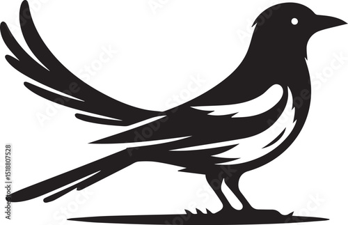magpie bird silhouette vector, magpie bird vector illustration, magpie bird logo vector black and white