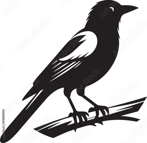 magpie bird silhouette vector, magpie bird vector illustration, magpie bird logo vector black and white