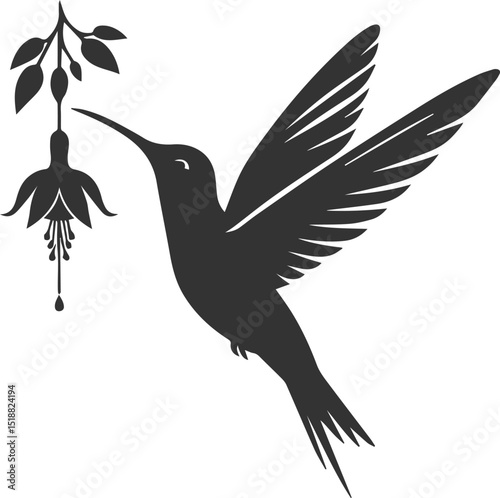 Flying hummingbird vector silhouette with flower